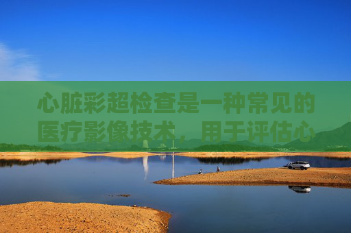 心脏彩超检查是一种常见的医疗影像技术，用于评估心脏的结构和功能。在游戏领域，虽然没有直接与心脏彩超相关的游戏，但我们可以讨论一些与健康和生活方式有关的游戏，这些游戏可以帮助玩家了解和管理他们的健康