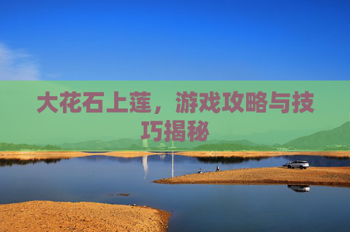 大花石上莲，游戏攻略与技巧揭秘
