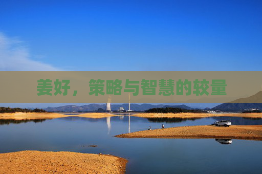 姜好，策略与智慧的较量