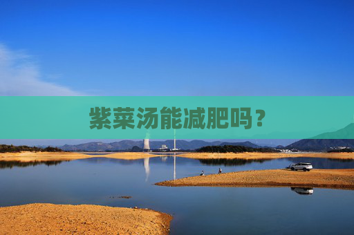 紫菜汤能减肥吗？