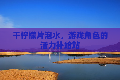 干柠檬片泡水，游戏角色的活力补给站