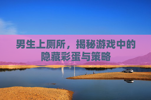 男生上厕所，揭秘游戏中的隐藏彩蛋与策略