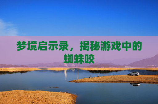 梦境启示录，揭秘游戏中的蜘蛛咬