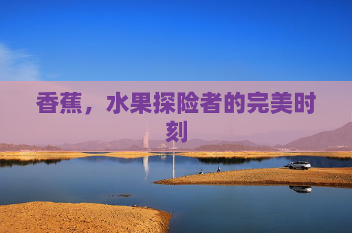 香蕉，水果探险者的完美时刻