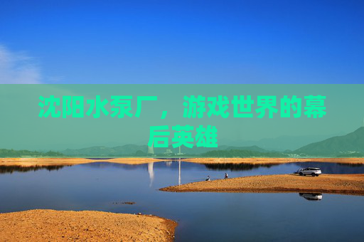 沈阳水泵厂，游戏世界的幕后英雄