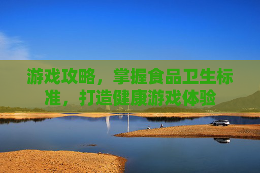 游戏攻略，掌握食品卫生标准，打造健康游戏体验