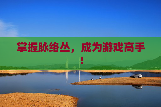 掌握脉络丛，成为游戏高手！