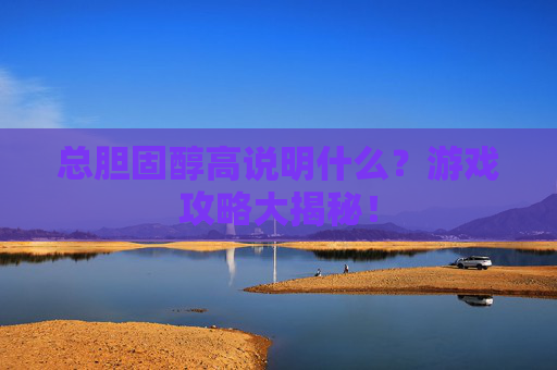 总胆固醇高说明什么？游戏攻略大揭秘！