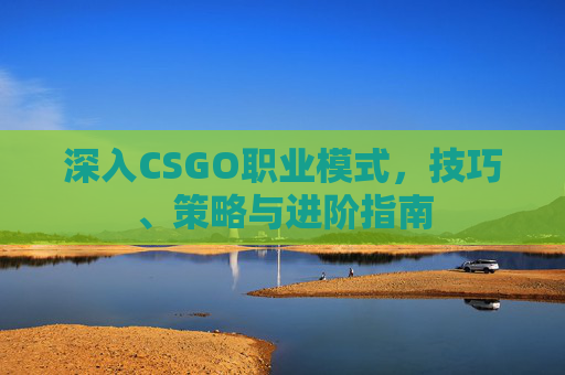 深入CSGO职业模式,技巧、策略与进阶指南 深入CSGO职业模式,技巧、策略与进阶指南