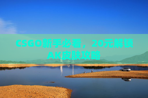 CSGO新手必看,20元解锁AK皮肤攻略 CSGO新手必看,20元解锁AK皮肤攻略