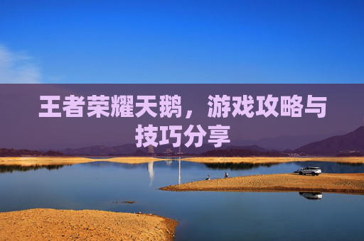 王者荣耀天鹅,游戏攻略与技巧分享 王者荣耀天鹅,游戏攻略与技巧分享