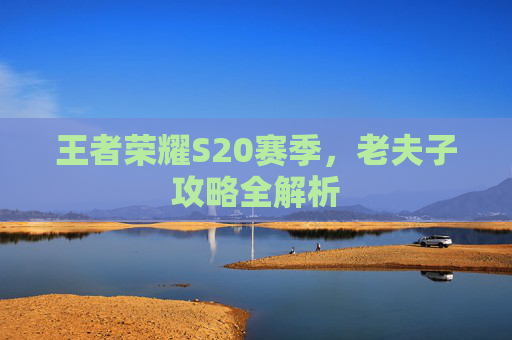 王者荣耀S20赛季,老夫子攻略全解析 王者荣耀S20赛季,老夫子攻略全解析