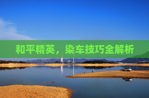 和平精英,染车技巧全解析 和平精英,染车技巧全解析