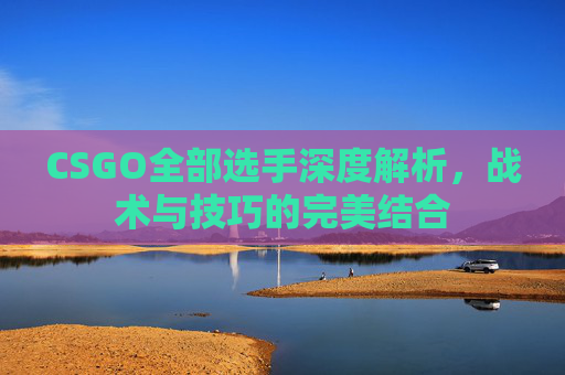 CSGO全部选手深度解析,战术与技巧的完美结合 CSGO全部选手深度解析,战术与技巧的完美结合