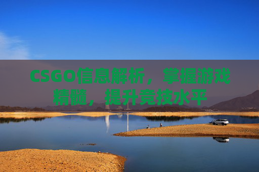 CSGO信息解析,掌握游戏精髓,提升竞技水平 CSGO信息解析,掌握游戏精髓,提升竞技水平