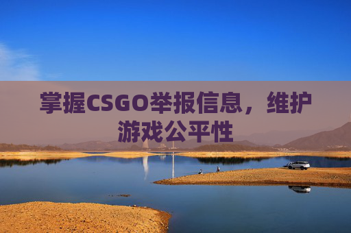 掌握CSGO举报信息,维护游戏公平性 掌握CSGO举报信息,维护游戏公平性