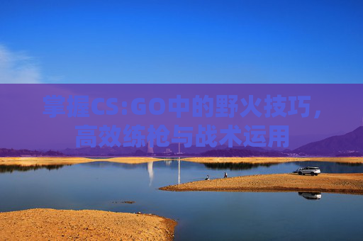 掌握CS:GO中的野火技巧,高效练枪与战术运用 掌握CS:GO中的野火技巧,高效练枪与战术运用