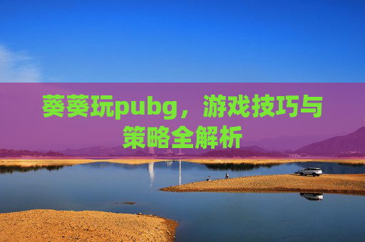 葵葵玩pubg,游戏技巧与策略全解析 葵葵玩pubg,游戏技巧与策略全解析