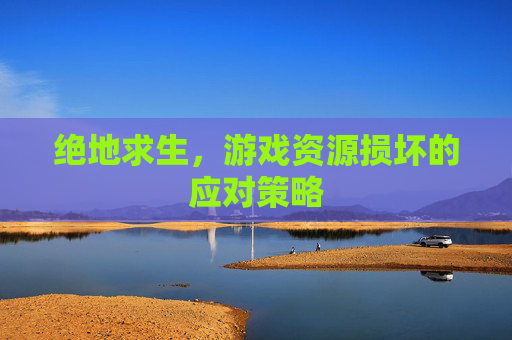 绝地求生,游戏资源损坏的应对策略 绝地求生,游戏资源损坏的应对策略