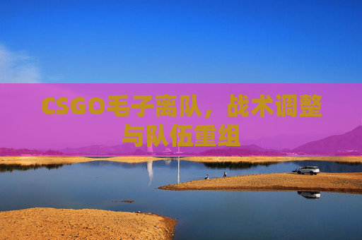 CSGO毛子离队,战术调整与队伍重组 CSGO毛子离队,战术调整与队伍重组