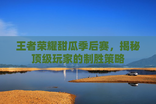 王者荣耀甜瓜季后赛,揭秘顶级玩家的制胜策略 王者荣耀甜瓜季后赛,揭秘顶级玩家的制胜策略