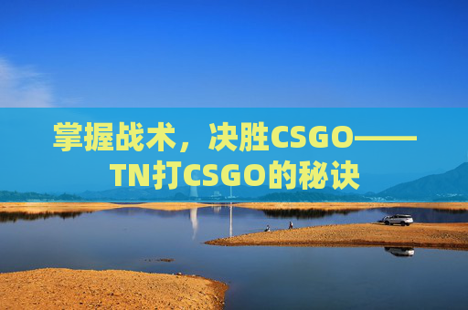 掌握战术,决胜CSGO——TN打CSGO的秘诀 掌握战术,决胜CSGO——TN打CSGO的秘诀
