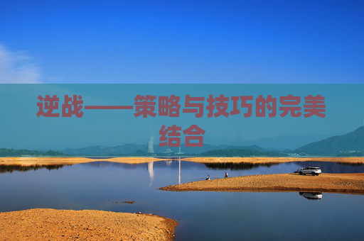 逆战——策略与技巧的完美结合 逆战——策略与技巧的完美结合