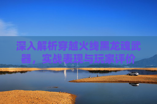 深入解析穿越火线黑龙魂武器,实战表现与玩家评价 深入解析穿越火线黑龙魂武器,实战表现与玩家评价