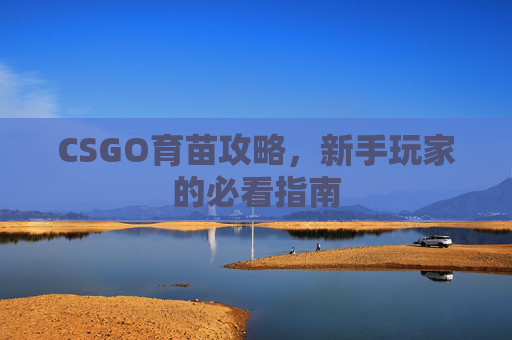 CSGO育苗攻略,新手玩家的必看指南 CSGO育苗攻略,新手玩家的必看指南