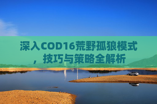 深入COD16荒野孤狼模式,技巧与策略全解析 深入COD16荒野孤狼模式,技巧与策略全解析