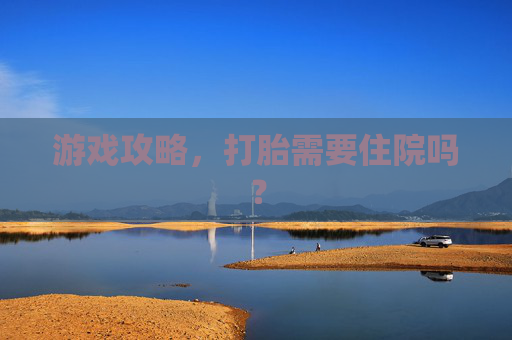 游戏攻略,打胎需要住院吗? 游戏攻略,打胎需要住院吗?