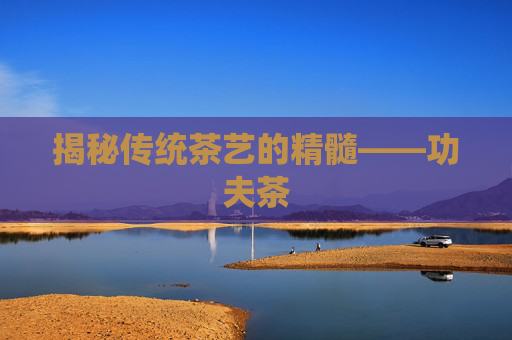 揭秘传统茶艺的精髓——功夫茶 揭秘传统茶艺的精髓——功夫茶