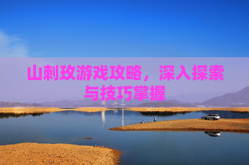 山刺玫游戏攻略,深入探索与技巧掌握 山刺玫游戏攻略,深入探索与技巧掌握