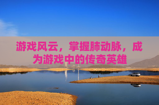 游戏风云,掌握肺动脉,成为游戏中的传奇英雄 游戏风云,掌握肺动脉,成为游戏中的传奇英雄