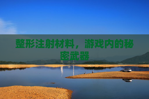 整形注射材料,游戏内的秘密武器 整形注射材料,游戏内的秘密武器
