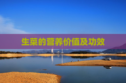 生菜的营养价值及功效 生菜的营养价值及功效