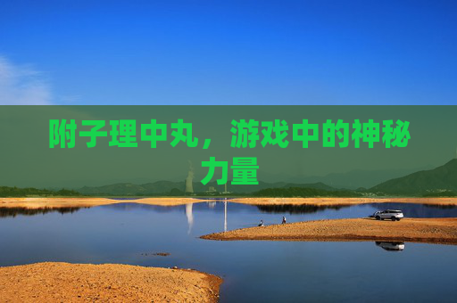 附子理中丸,游戏中的神秘力量 附子理中丸,游戏中的神秘力量