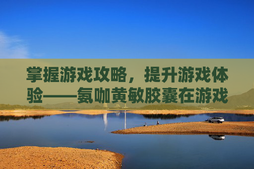 掌握游戏攻略,提升游戏体验——氨咖黄敏胶囊在游戏世界的应用 掌握游戏攻略,提升游戏体验——氨咖黄敏胶囊在游戏世界的应用