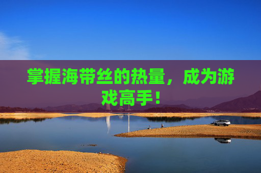 掌握海带丝的热量,成为游戏高手! 掌握海带丝的热量,成为游戏高手!