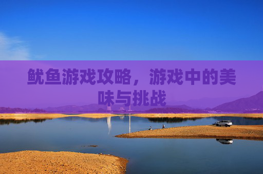 鱿鱼游戏攻略,游戏中的美味与挑战 鱿鱼游戏攻略,游戏中的美味与挑战