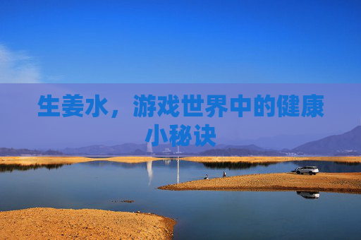 生姜水,游戏世界中的健康小秘诀 生姜水,游戏世界中的健康小秘诀