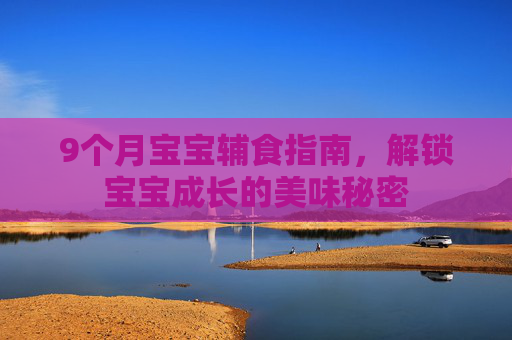9个月宝宝辅食指南,解锁宝宝成长的美味秘密 9个月宝宝辅食指南,解锁宝宝成长的美味秘密