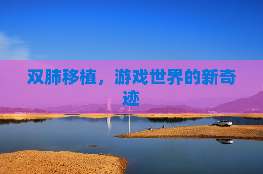 双肺移植,游戏世界的新奇迹 双肺移植,游戏世界的新奇迹
