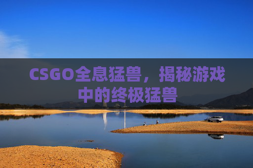 CSGO全息猛兽,揭秘游戏中的终极猛兽 CSGO全息猛兽,揭秘游戏中的终极猛兽