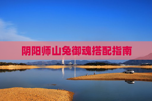 阴阳师山兔御魂搭配指南 阴阳师山兔御魂搭配指南