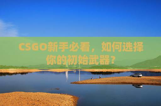 CSGO新手必看,如何选择你的初始武器? CSGO新手必看,如何选择你的初始武器?