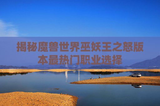 揭秘魔兽世界巫妖王之怒版本最热门职业选择 揭秘魔兽世界巫妖王之怒版本最热门职业选择