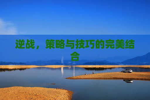 逆战,策略与技巧的完美结合 逆战,策略与技巧的完美结合