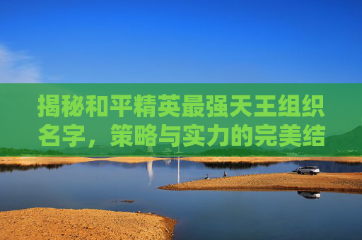 揭秘和平精英最强天王组织名字,策略与实力的完美结合 揭秘和平精英最强天王组织名字,策略与实力的完美结合