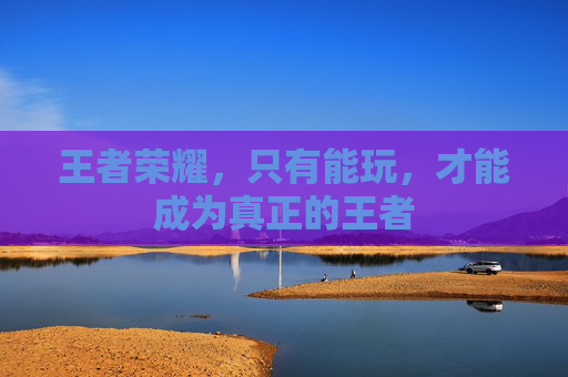 王者荣耀,只有能玩,才能成为真正的王者 王者荣耀,只有能玩,才能成为真正的王者